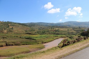 Panorama des rizières malgaches 